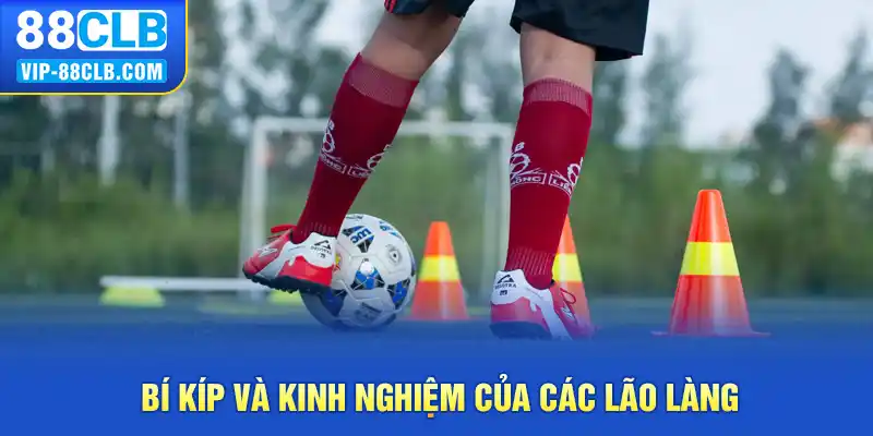 Bí kíp và kinh nghiệm của các lão làng 