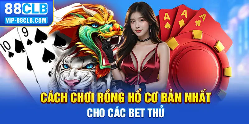 Cách chơi rồng hổ cơ bản nhất cho các bet thủ