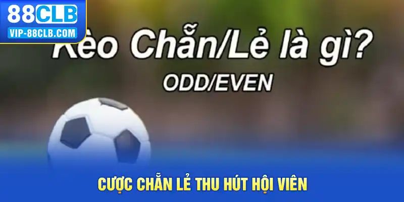 Cược chẵn lẻ thu hút hội viên 