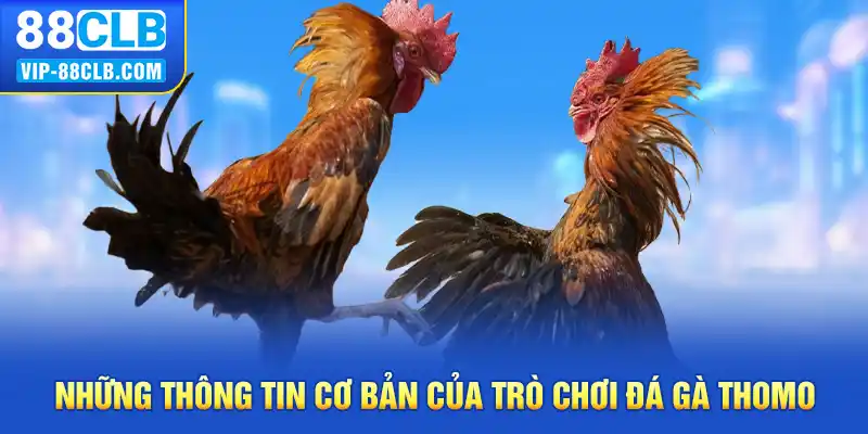 Những thông tin cơ bản của trò chơi đá gà thomo